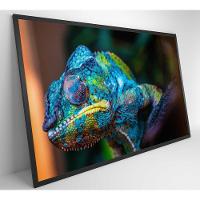 Quadro Camaleão Cores Vibrantes Medidas 120x80 Cm Impressão Tecido Canvas - 6