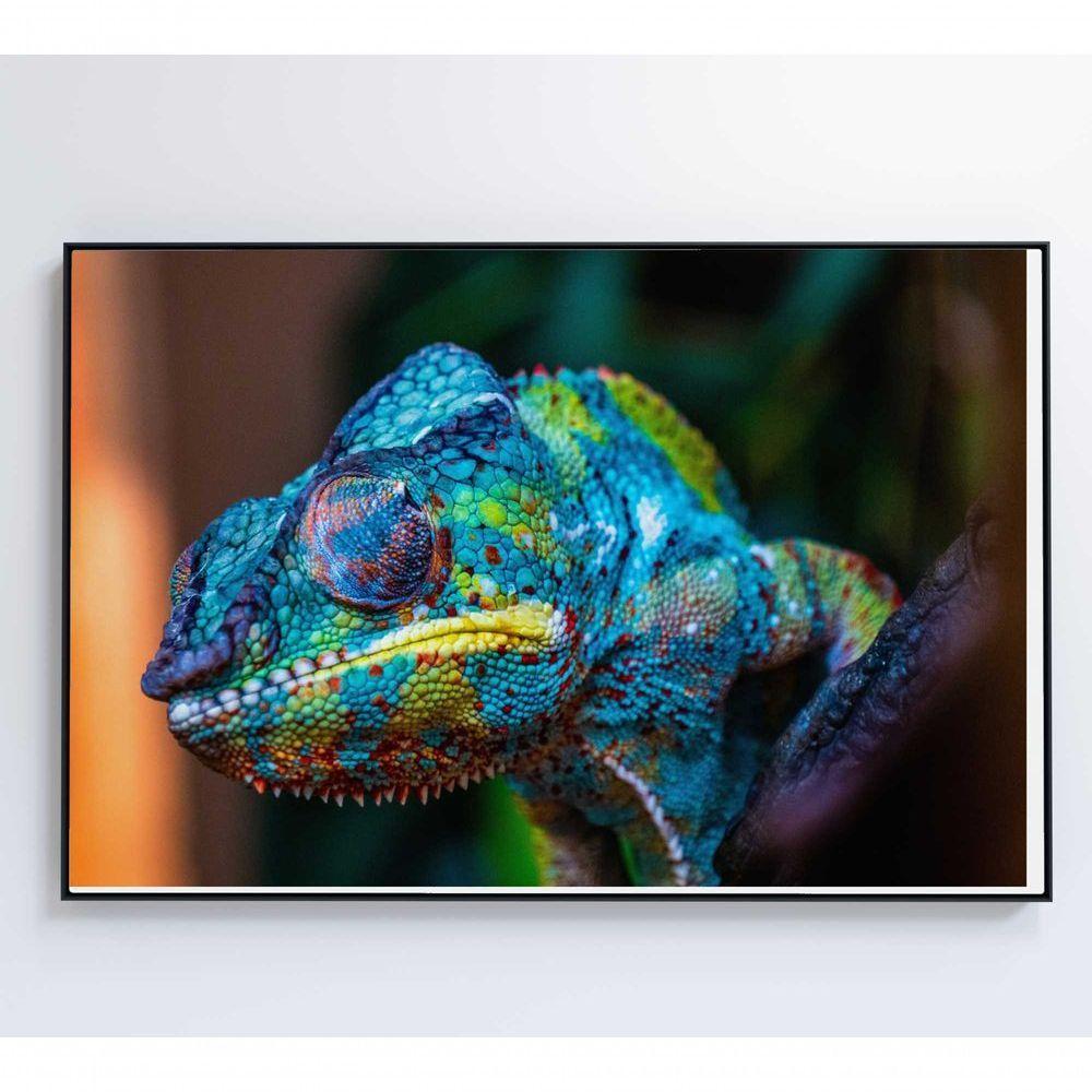 Quadro Camaleão Cores Vibrantes Medidas 120x80 Cm Impressão Adesivo Fotográfico - 5