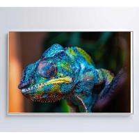 Quadro Camaleão Cores Vibrantes Medidas 120x80 Cm Impressão Adesivo Fotográfico - 2