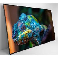 Quadro Camaleão Cores Vibrantes Medidas 120x80 Cm Impressão Adesivo Fotográfico - 7