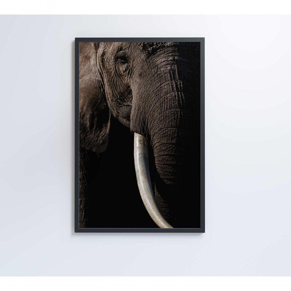 Quadro Natureza Elefante Africano Medidas 80x120 Cm Impressão Vidro Acrílico - 2