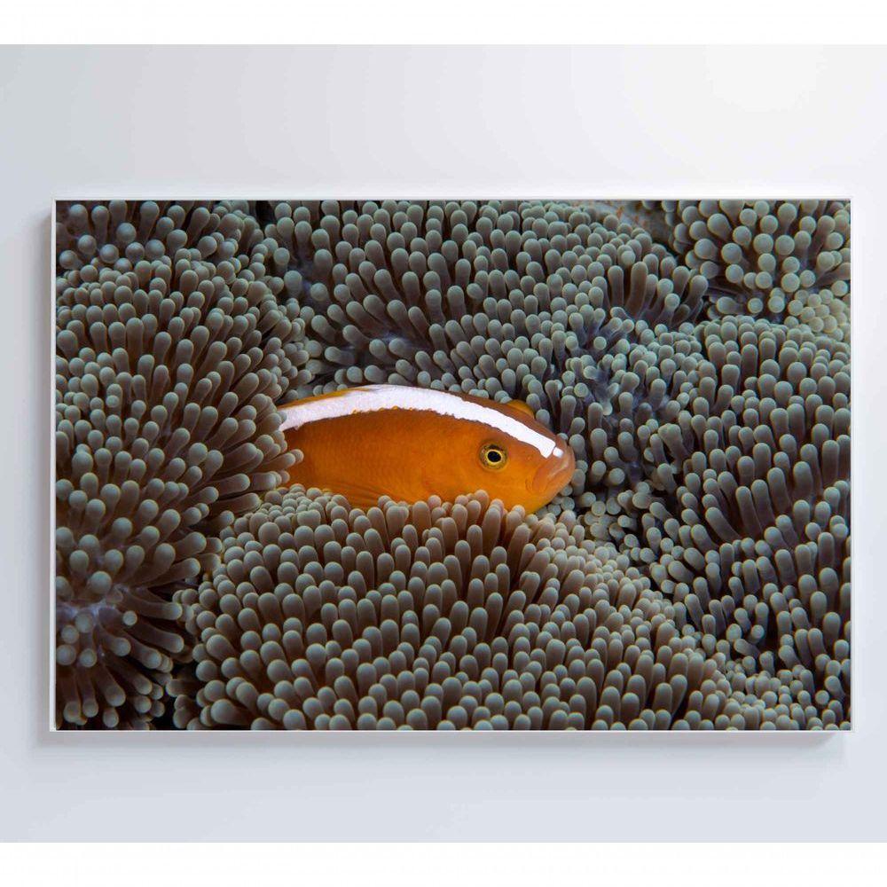 Quadro Peixe Palhaço Em Anêmona No Mar Medidas 90x60 Cm Impressão Tecido Canvas - 3