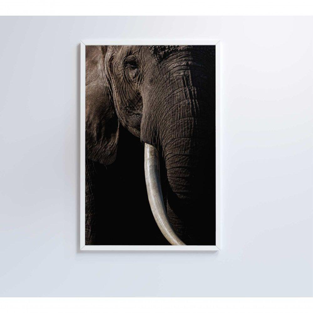 Quadro Natureza Elefante Africano Medidas 40x60 Cm Impressão Vidro Acrílico - 7