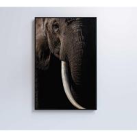 Quadro Natureza Elefante Africano Medidas 40x60 Cm Impressão Vidro Acrílico - 5