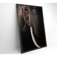 Quadro Natureza Elefante Africano Medidas 40x60 Cm Impressão Vidro Acrílico - 8