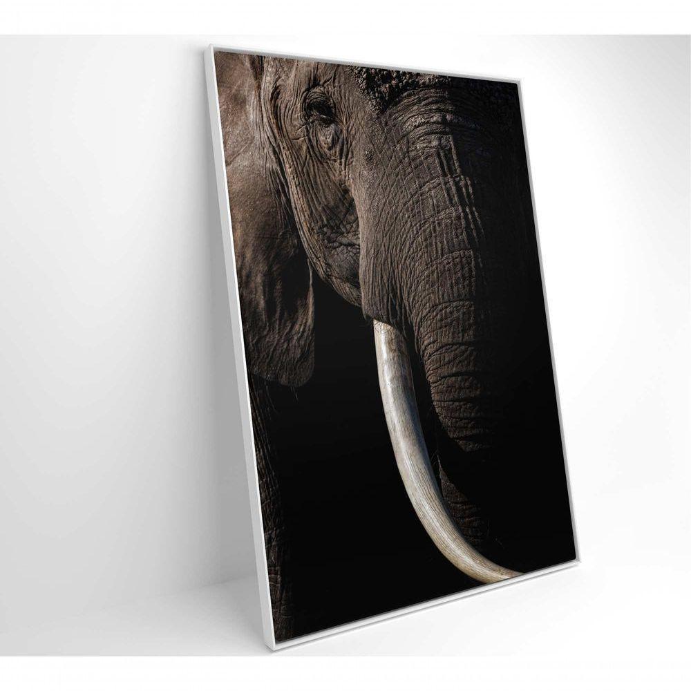 Quadro Natureza Elefante Africano Medidas 40x60 Cm Impressão Tecido Canvas - 3