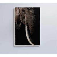 Quadro Natureza Elefante Africano Medidas 40x60 Cm Impressão Tecido Canvas
