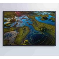 Quadro Lagos Inundadas No Pantanal Medidas 60x40 Cm Impressão Adesivo Fotográfico - 2