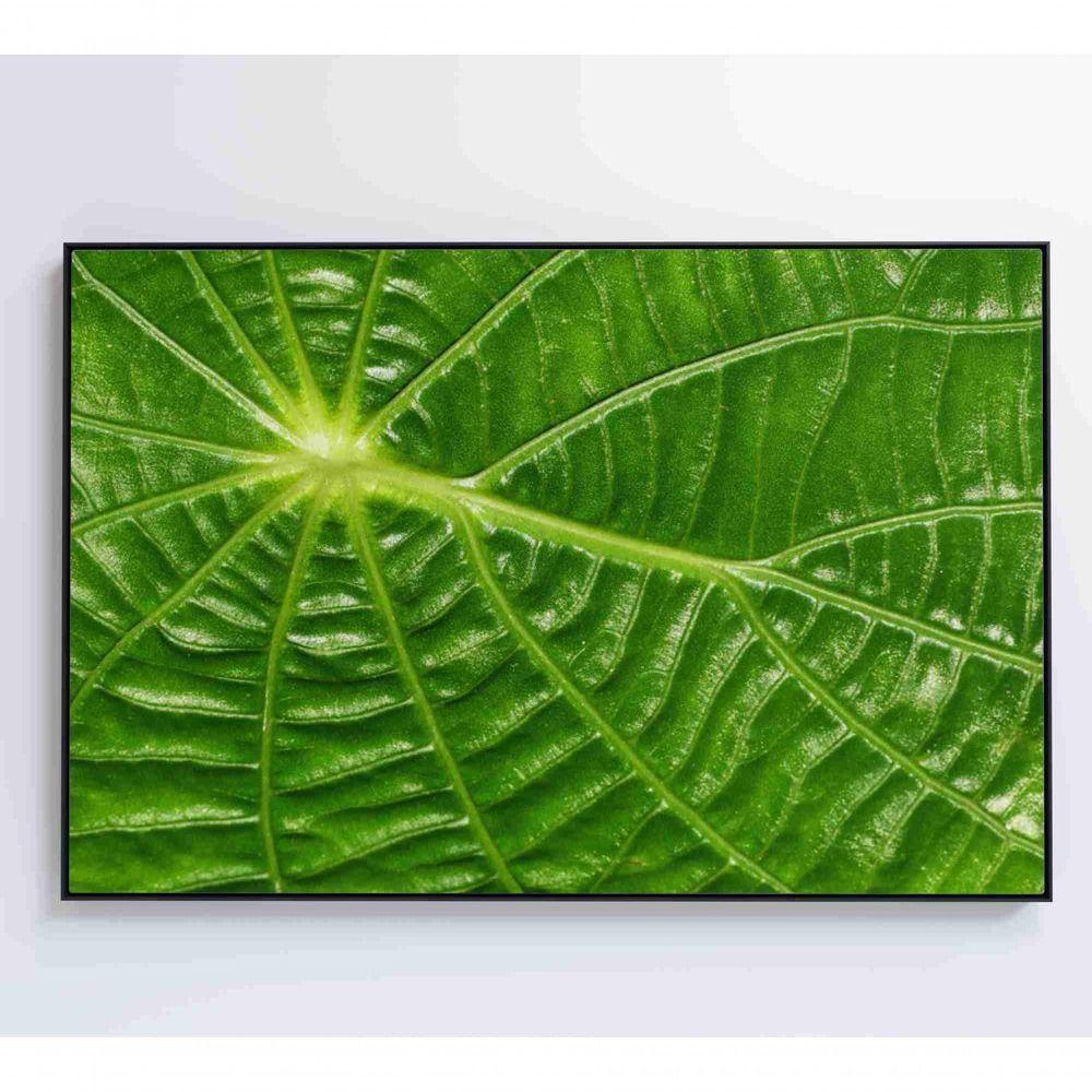 Quadro Folha Floresta Amazônica Medidas 120x80 Cm Impressão Vidro Acrílico - 1