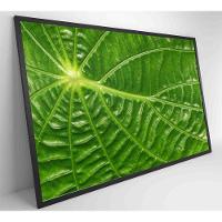 Quadro Folha Floresta Amazônica Medidas 120x80 Cm Impressão Vidro Acrílico - 3