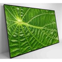 Quadro Folha Floresta Amazônica Medidas 120x80 Cm Impressão Vidro Acrílico - 5