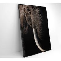 Quadro Natureza Elefante Africano Medidas 60x90 Cm Impressão Adesivo Fotográfico - 1