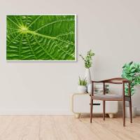Quadro Folha Floresta Amazônica Medidas 120x80 Cm Impressão Adesivo Fotográfico - 2