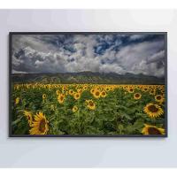 Quadro Campo De Girassóis Medidas 60x40 Cm Impressão Tecido Canvas - 2