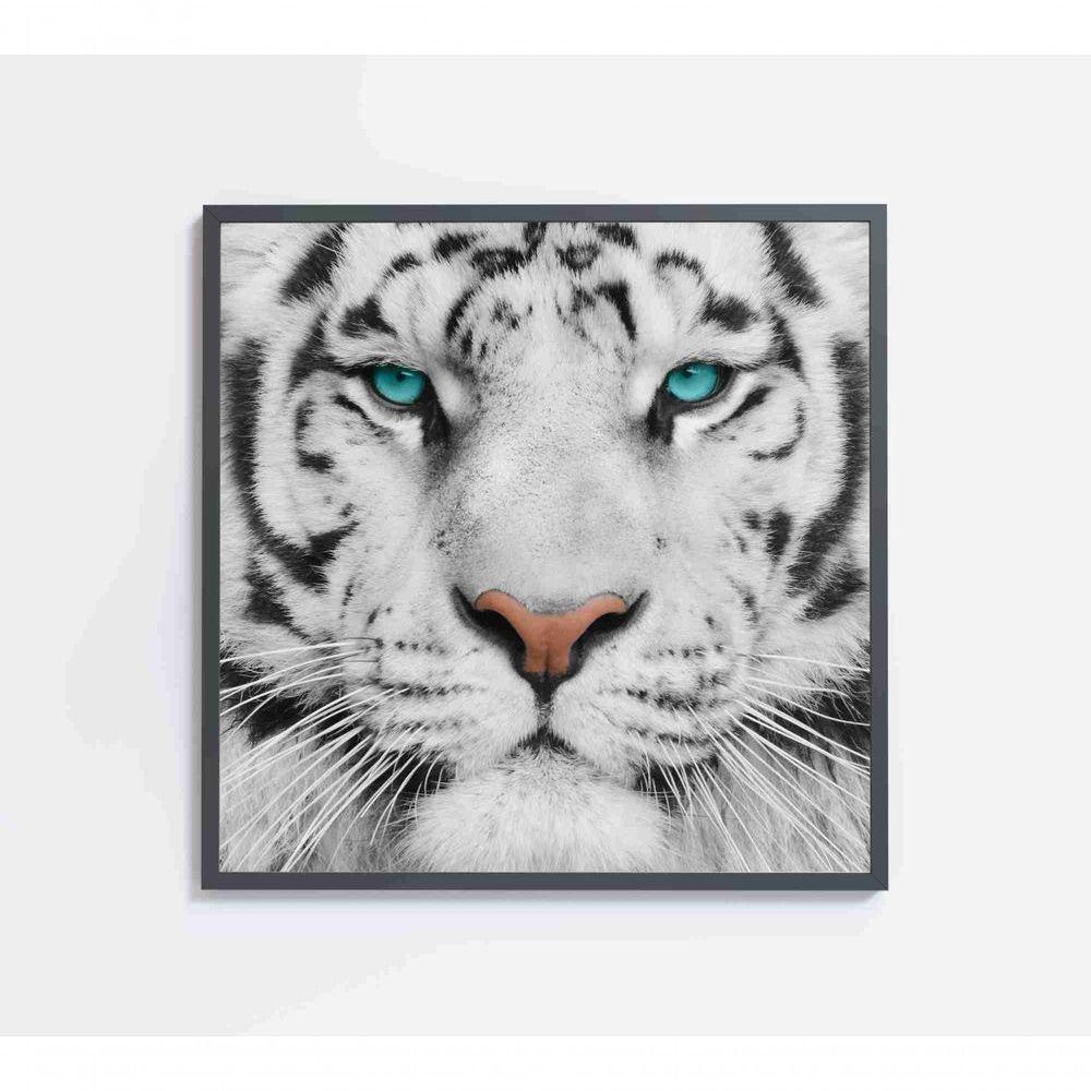 Quadro Tigre Branco Medidas 60x60 Cm Impressão Tecido Canvas - 1