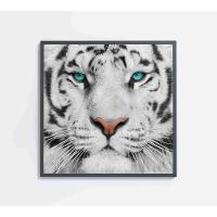 Quadro Tigre Branco Medidas 60x60 Cm Impressão Tecido Canvas - 1
