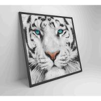 Quadro Tigre Branco Medidas 60x60 Cm Impressão Tecido Canvas - 2