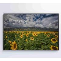 Quadro Campo De Girassóis Medidas 120x80 Cm Impressão Tecido Canvas - 1