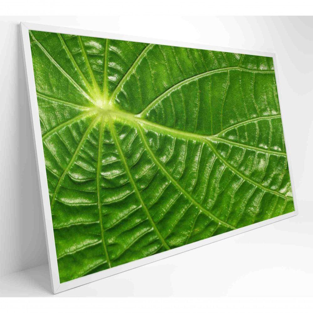 Quadro Folha Floresta Amazônica Medidas 90x60 Cm Impressão Adesivo Fotográfico - 3