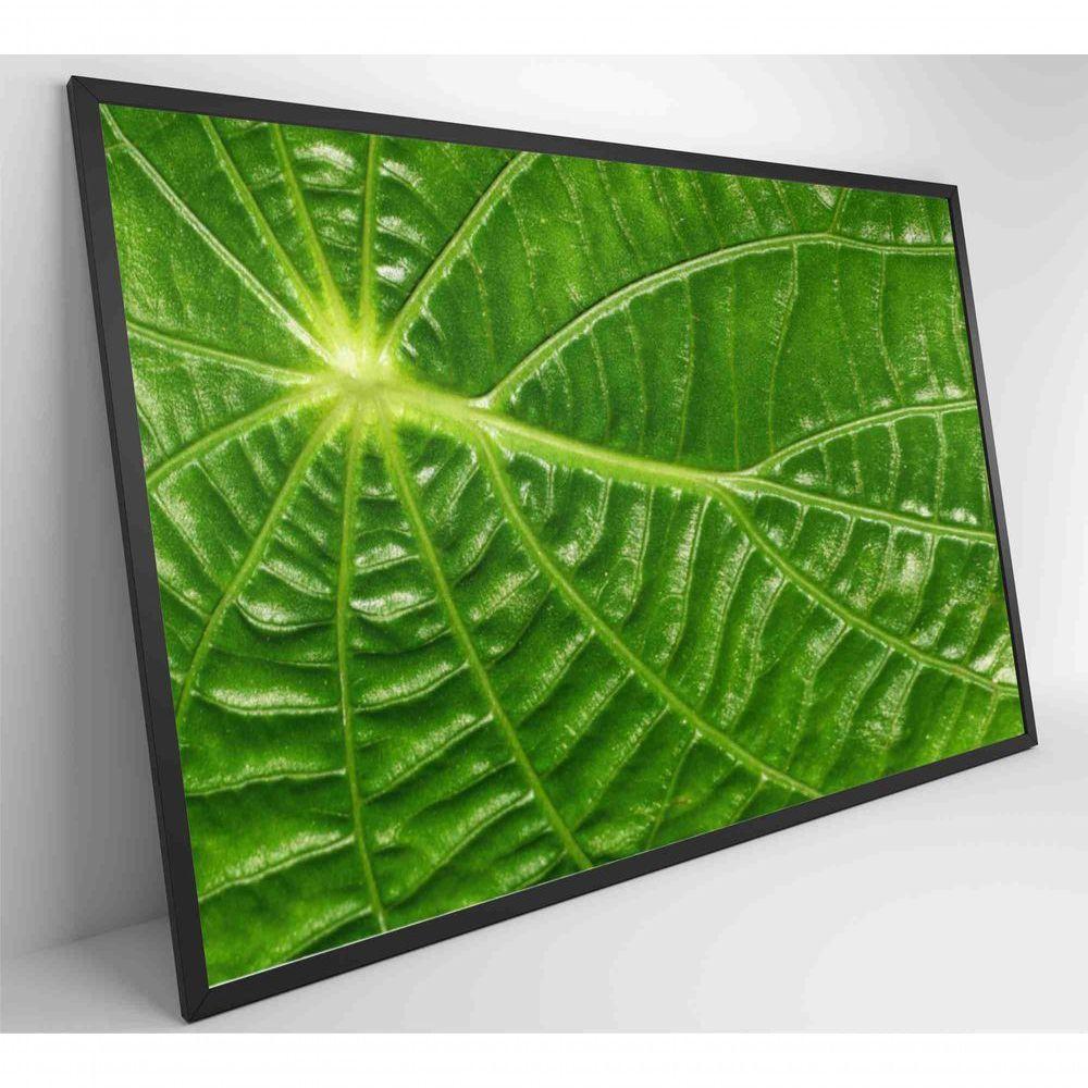 Quadro Folha Floresta Amazônica Medidas 90x60 Cm Impressão Adesivo Fotográfico - 4