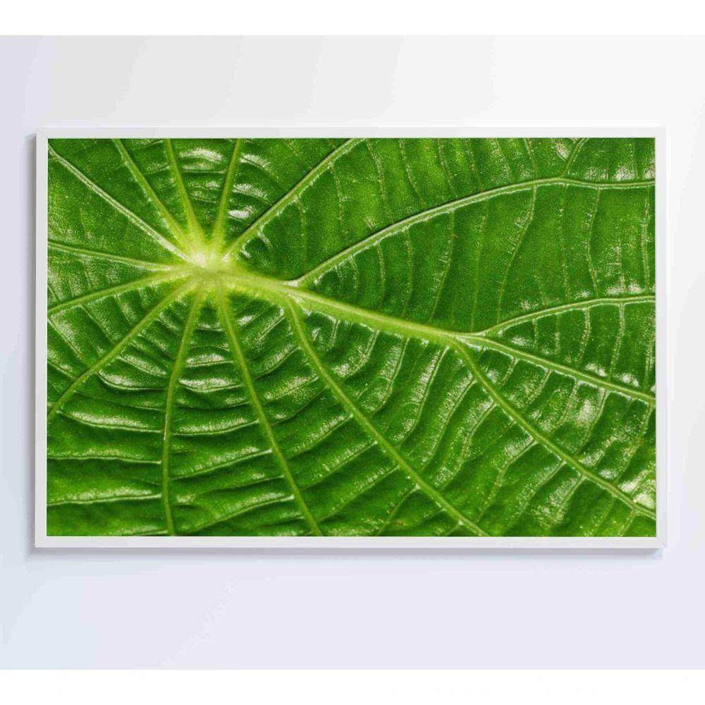 Quadro Folha Floresta Amazônica Medidas 90x60 Cm Impressão Adesivo Fotográfico - 5