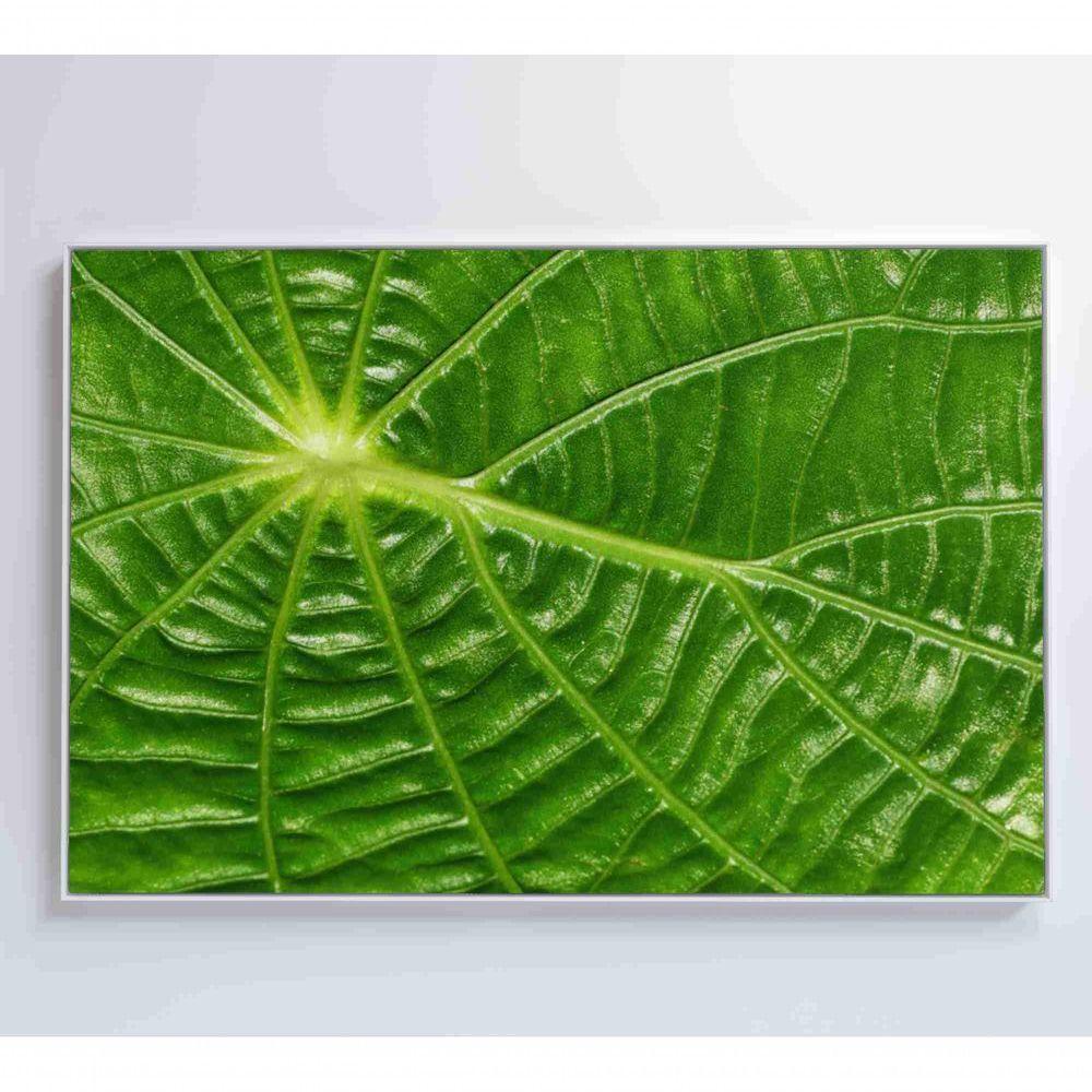 Quadro Folha Floresta Amazônica Medidas 90x60 Cm Impressão Adesivo Fotográfico - 7