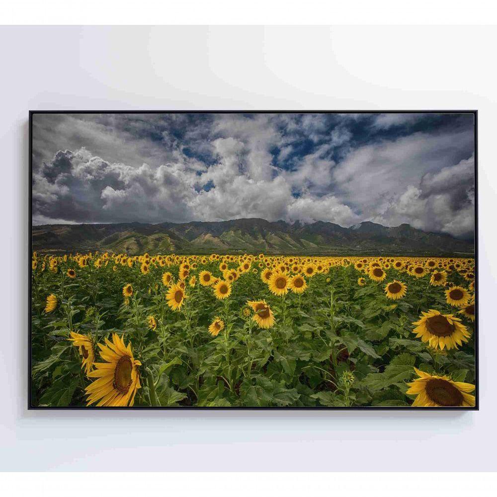 Quadro Campo De Girassóis Medidas 90x60 Cm Impressão Tecido Canvas - 1