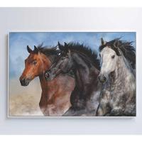 Quadro Cavalos Correndo Medidas 120x80 Cm Impressão Adesivo Fotográfico