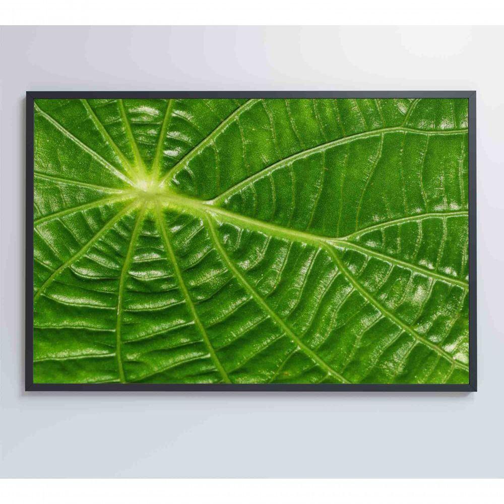 Quadro Folha Floresta Amazônica Medidas 120x80 Cm Impressão Tecido Canvas - 5