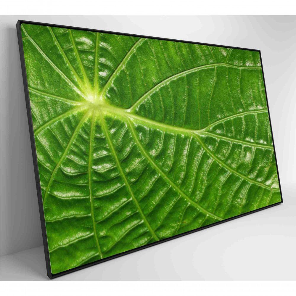 Quadro Folha Floresta Amazônica Medidas 120x80 Cm Impressão Tecido Canvas - 6