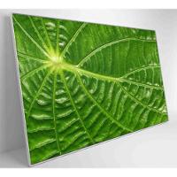 Quadro Folha Floresta Amazônica Medidas 120x80 Cm Impressão Tecido Canvas - 3