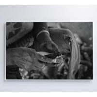 Quadro índio Preparando Mandioca Na Amazônia Medidas 60x40 Cm Impressão Adesivo Fotográfico - 3