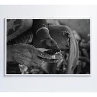 Quadro índio Preparando Mandioca Na Amazônia Medidas 60x40 Cm Impressão Adesivo Fotográfico