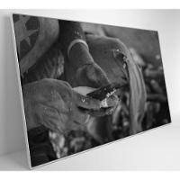 Quadro índio Preparando Mandioca Na Amazônia Medidas 90x60 Cm Impressão Tecido Canvas - 5