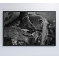 Quadro índio Preparando Mandioca Na Amazônia Medidas 90x60 Cm Impressão Adesivo Fotográfico - 2