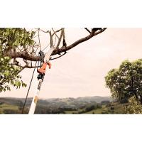 Podador De Galhos Com Serrote Profissional 13 Polegada - 330 Mm Tramontina Sem Cabo - 3