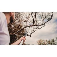 Podador De Galhos Com Serrote Profissional 13 Polegada - 330 Mm Tramontina Sem Cabo - 5