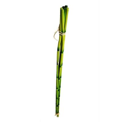 Haste Bambu Planta Artificial Decorativo C-4 Flor Arte