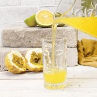 Copo Alto Transparente Cristal Palm Tree 360ml Wolff - 5