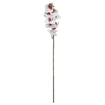 Orquídea Phalaenopsis Real Toque Florarte X9 92cm Vol. 9