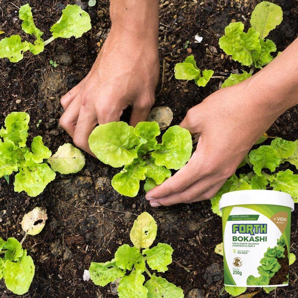 Adubo Fertilizante Forth Bokashi 250g - 2