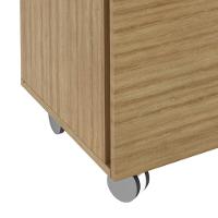 Gaveteiro Arquivo Com Chave E Rodízios Multimóveis Cr25045 Amêndoa - 3