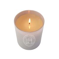 Vela Perfumada Into The Night Lenvie 210g - 3