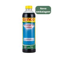 Algicida Choque Tratamento Piscina Elimina Algas 1 L - Genco - 1