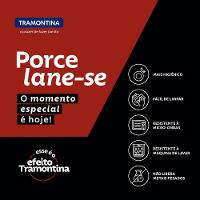 Kit Prato Raso Tramontina Churrasco Rustic Em Porcelana 28 Cm 6 Peças - 3