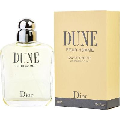 Perfume Masculino Dune Edt 100 Ml