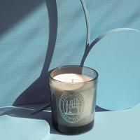 Vela Perfumada Musgo De Carvalho Lenvie 210g