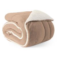 Coberdrom Cobertor King 1 Peça Maya Manta Soft E Sherpa De Carneiro 100% Poliéster Cor:bege - 1