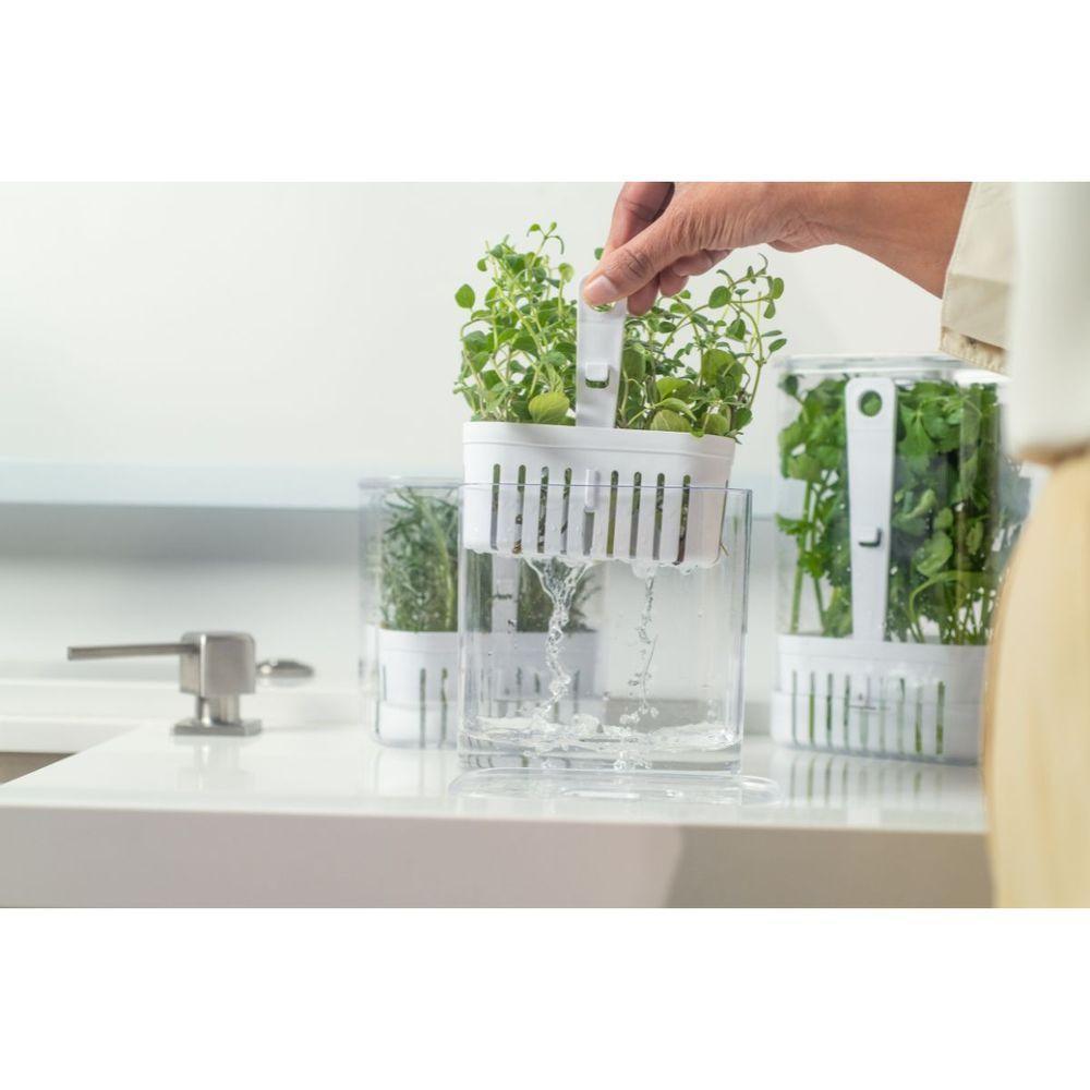 Organizador De Temperos Com Cesto Clear 1,5l 10x14,5x15cm - 2