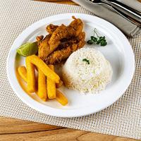 Prato Elegance Raso Redondo 25cm Branco Em Polipropileno Linha Tropical Vem